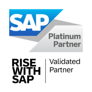 sap platinum partner